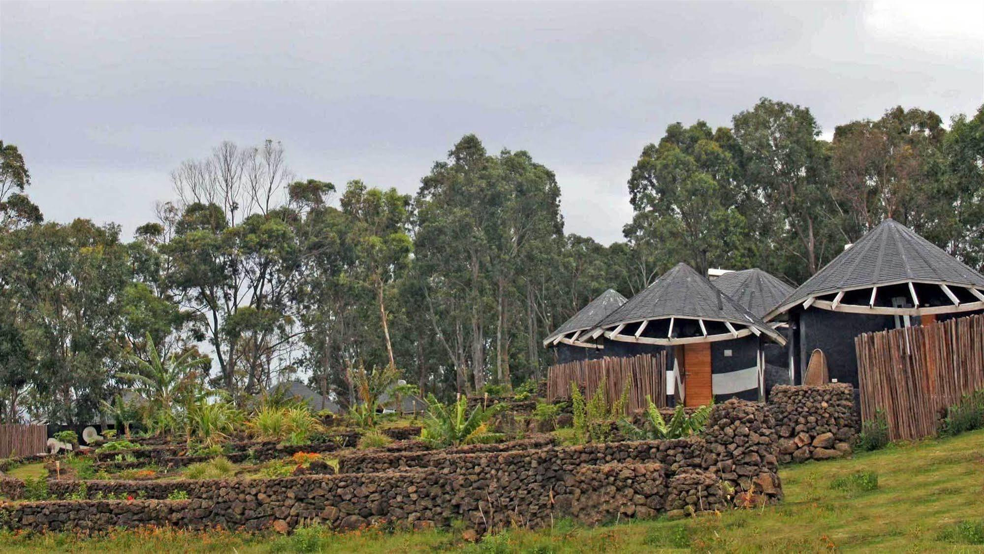 Altiplanico Isla De Pascua Hotel Hanga Roa Exterior foto